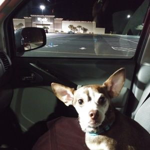 Meet your Posher, Penny